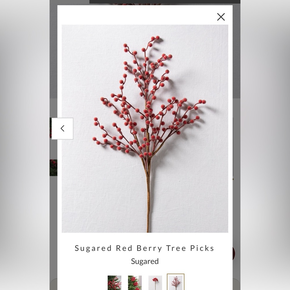 Balsam Hill Red Sugared Berry Tree Picks